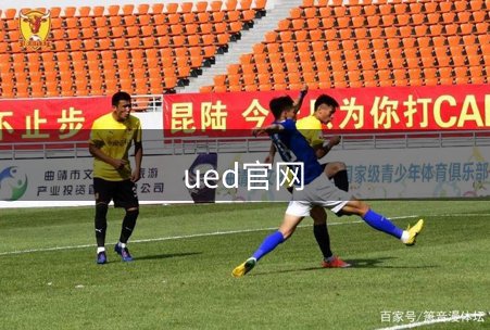 网站介绍