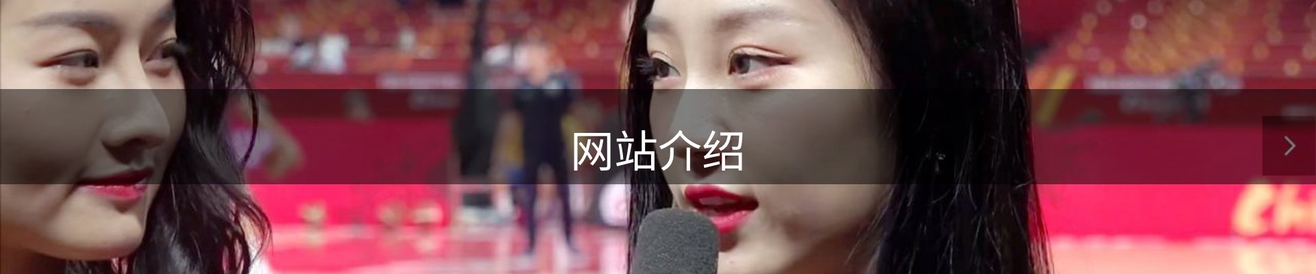 网站介绍